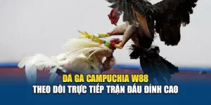 Đá Gà Campuchia W88 – Theo Dõi Trực Tiếp Trận Đấu Đỉnh Cao